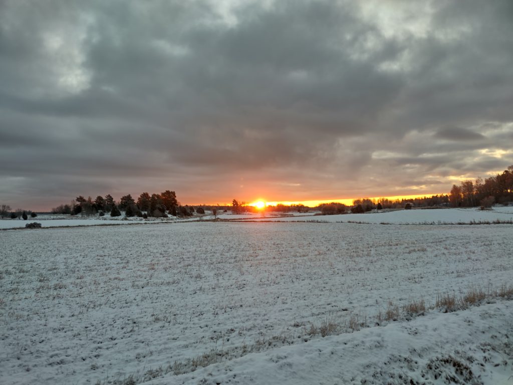 Soluppgång över åkern.