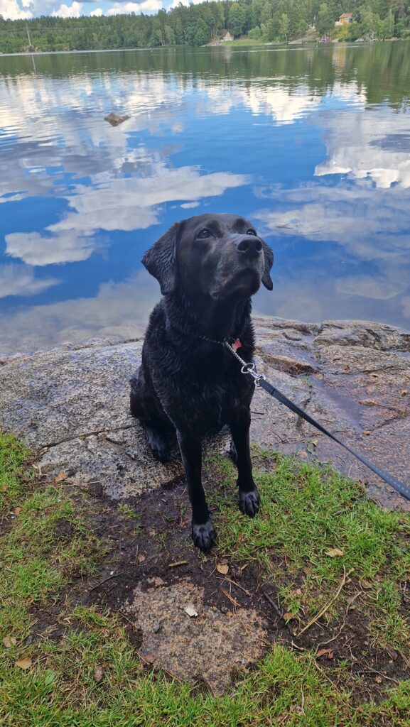 Sally sitter i vägkanten. I bakgrunden ser man några fjäll.